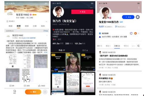 张乃丹爆料财经视频在线观看,财经视频在线观看，洞察市场风云