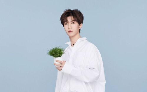 范丞丞和贾玲爆料视频大全,娱乐圈幕后趣闻一网打尽